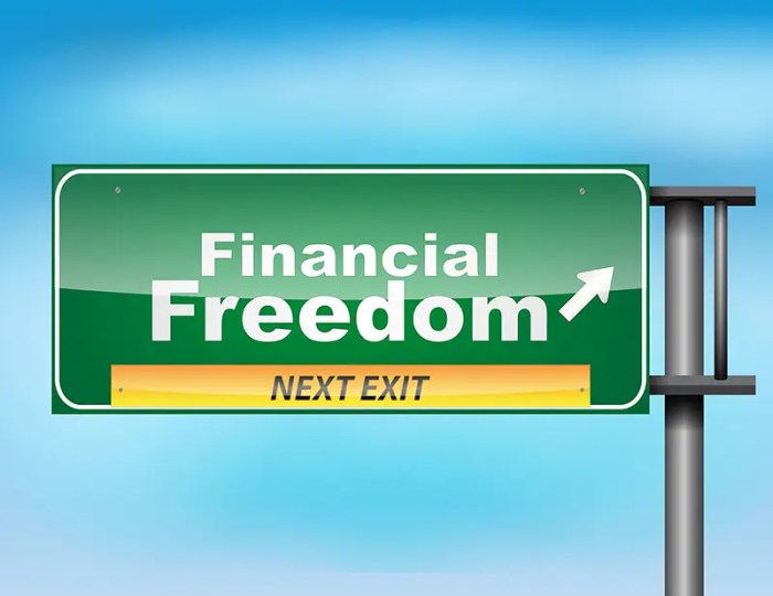 Freedom financial money january budgetsaresexy