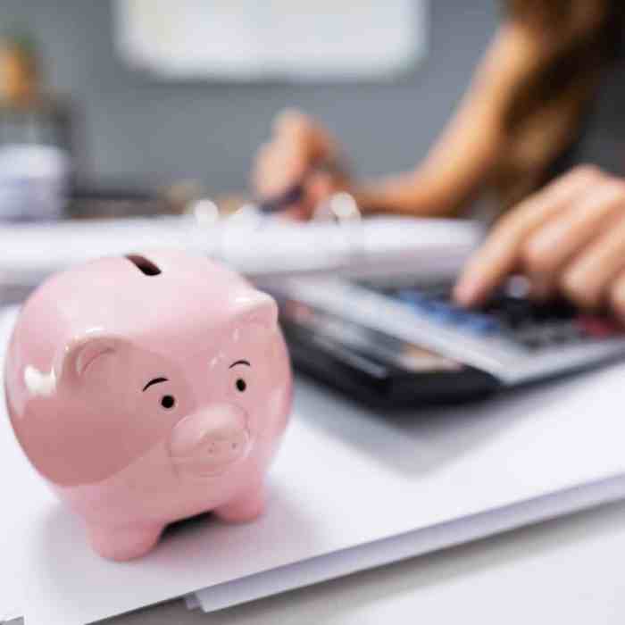 Budget counseling
